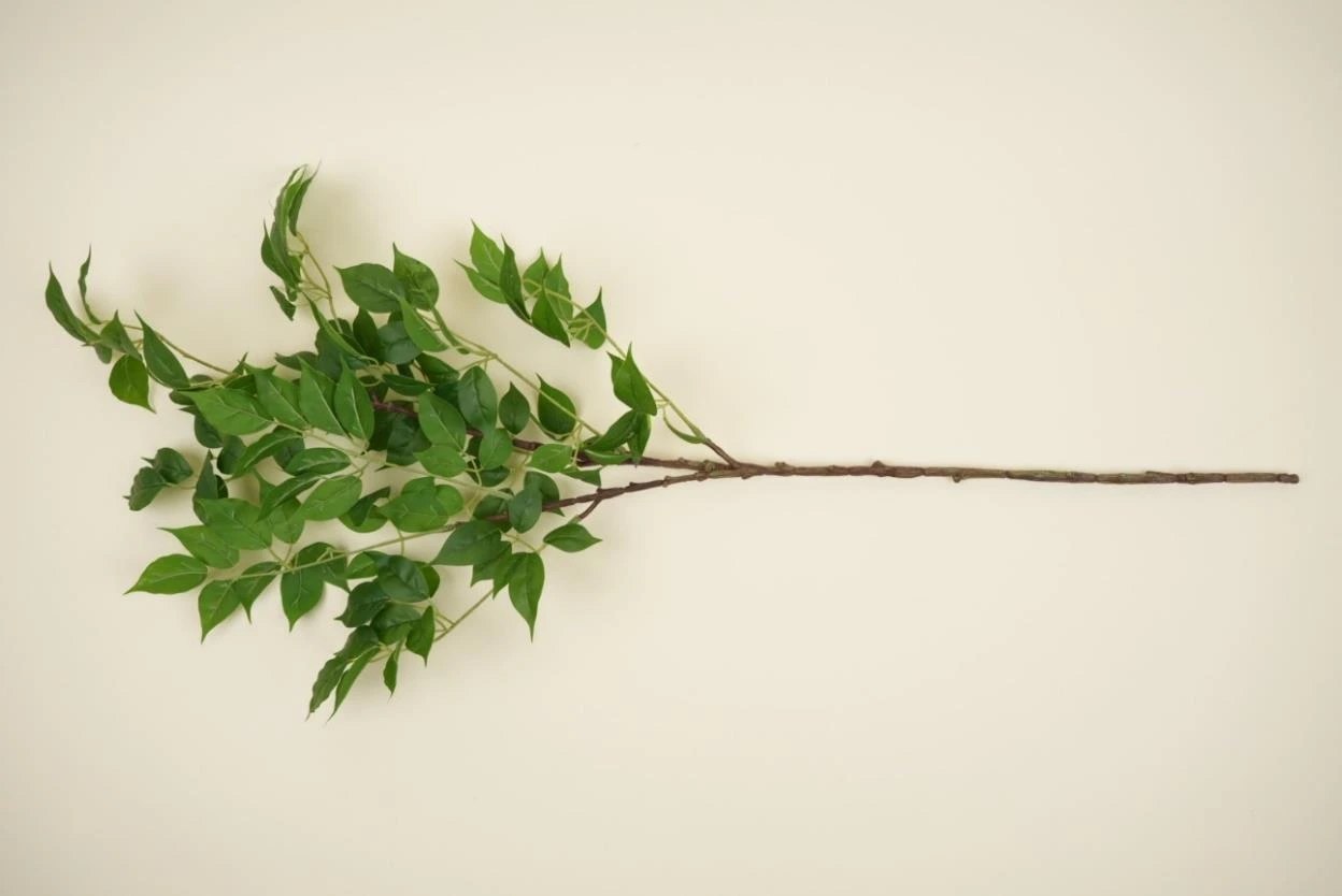 Happy Tree Size : 100cm